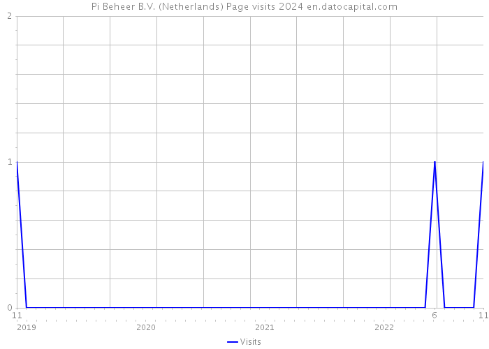 Pi Beheer B.V. (Netherlands) Page visits 2024 