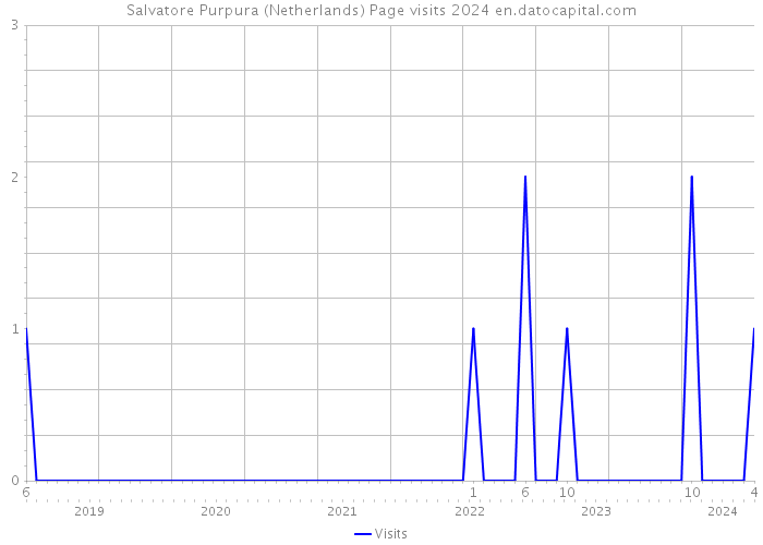 Salvatore Purpura (Netherlands) Page visits 2024 