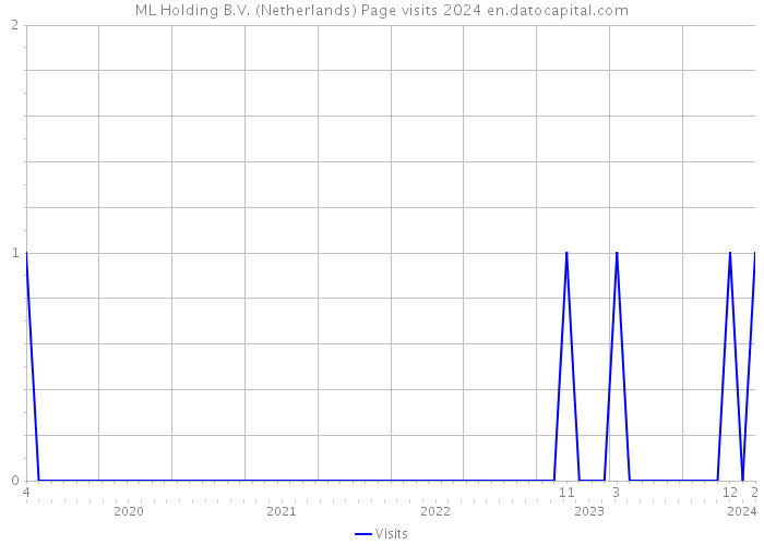 ML Holding B.V. (Netherlands) Page visits 2024 