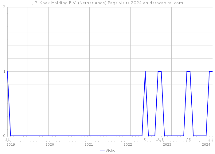 J.P. Koek Holding B.V. (Netherlands) Page visits 2024 