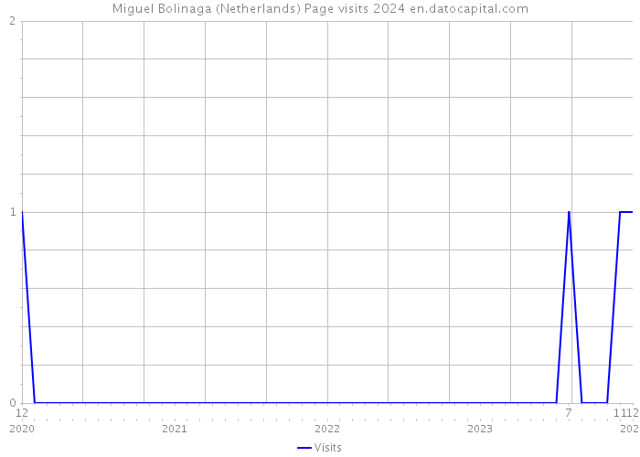 Miguel Bolinaga (Netherlands) Page visits 2024 