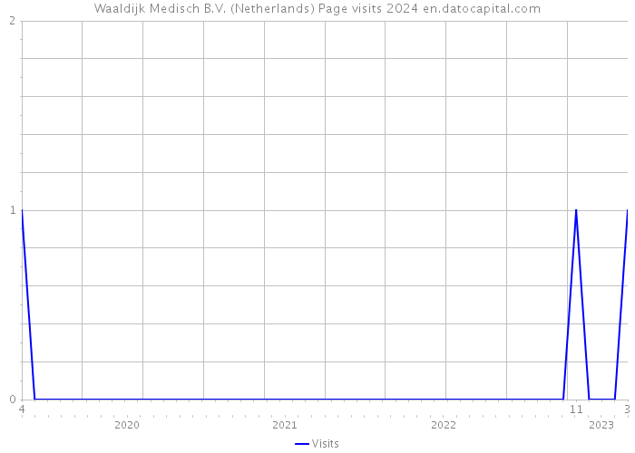 Waaldijk Medisch B.V. (Netherlands) Page visits 2024 