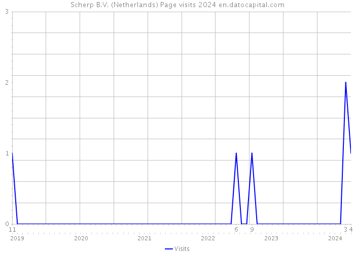 Scherp B.V. (Netherlands) Page visits 2024 
