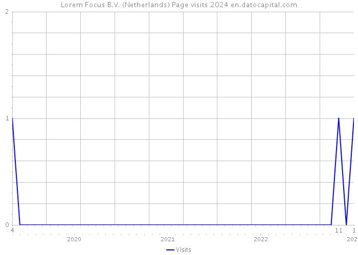 Lorem Focus B.V. (Netherlands) Page visits 2024 