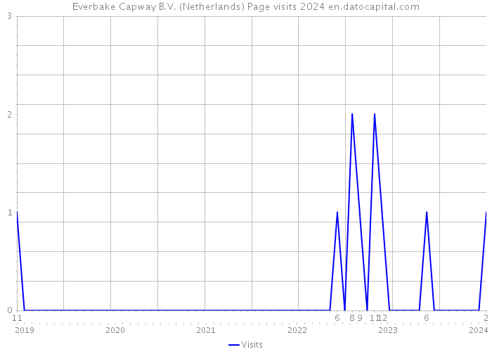 Everbake Capway B.V. (Netherlands) Page visits 2024 