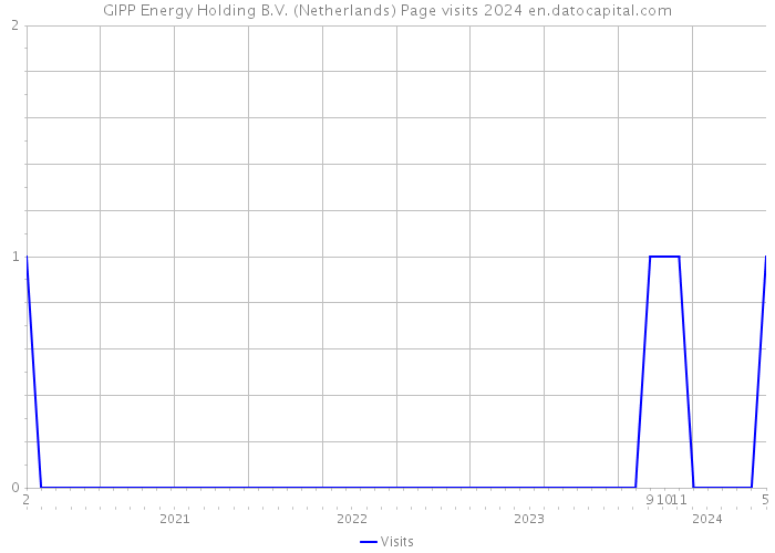 GIPP Energy Holding B.V. (Netherlands) Page visits 2024 