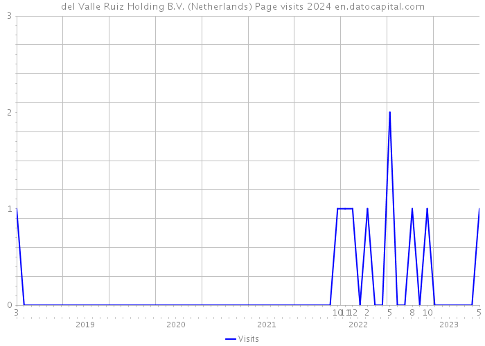 del Valle Ruiz Holding B.V. (Netherlands) Page visits 2024 