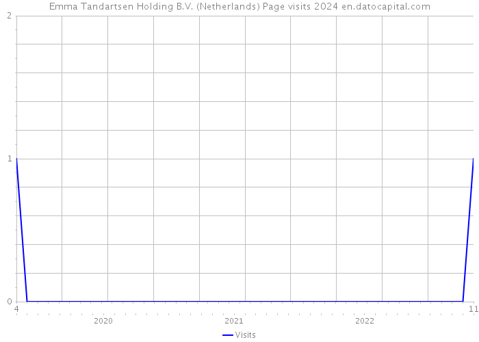 Emma Tandartsen Holding B.V. (Netherlands) Page visits 2024 