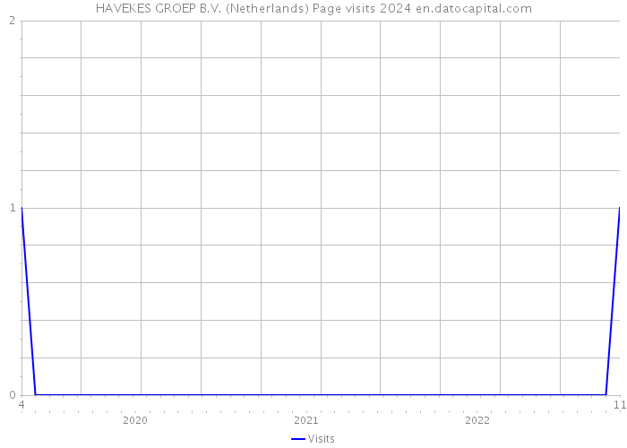 HAVEKES GROEP B.V. (Netherlands) Page visits 2024 