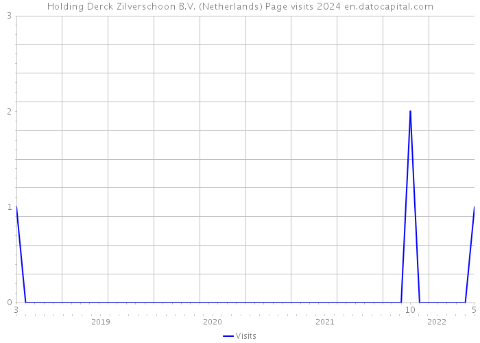 Holding Derck Zilverschoon B.V. (Netherlands) Page visits 2024 