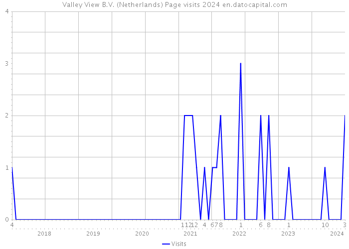 Valley View B.V. (Netherlands) Page visits 2024 