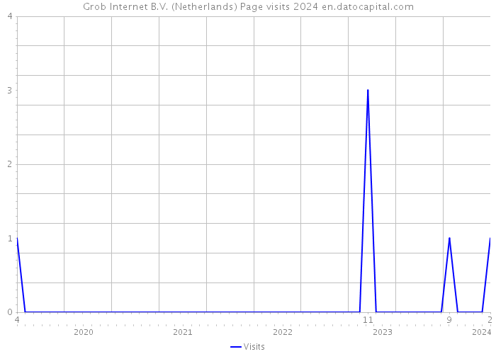 Grob Internet B.V. (Netherlands) Page visits 2024 