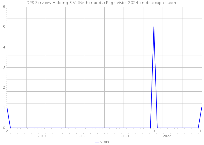 DPS Services Holding B.V. (Netherlands) Page visits 2024 