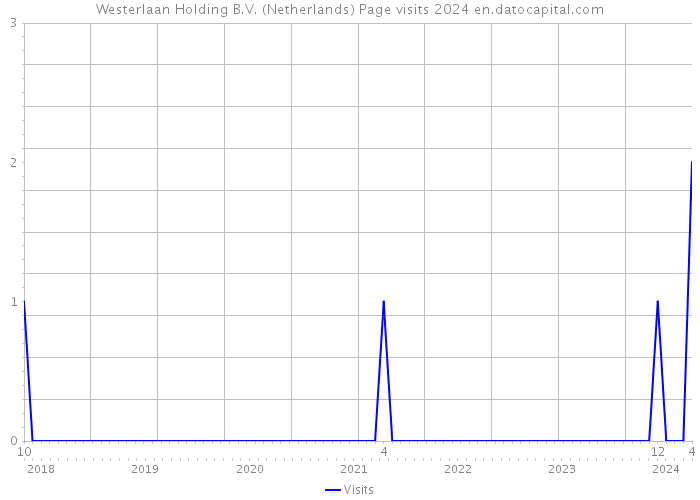 Westerlaan Holding B.V. (Netherlands) Page visits 2024 