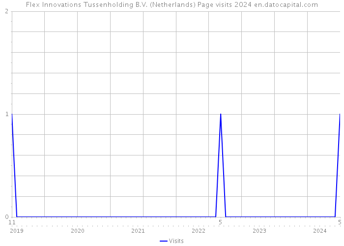 Flex Innovations Tussenholding B.V. (Netherlands) Page visits 2024 