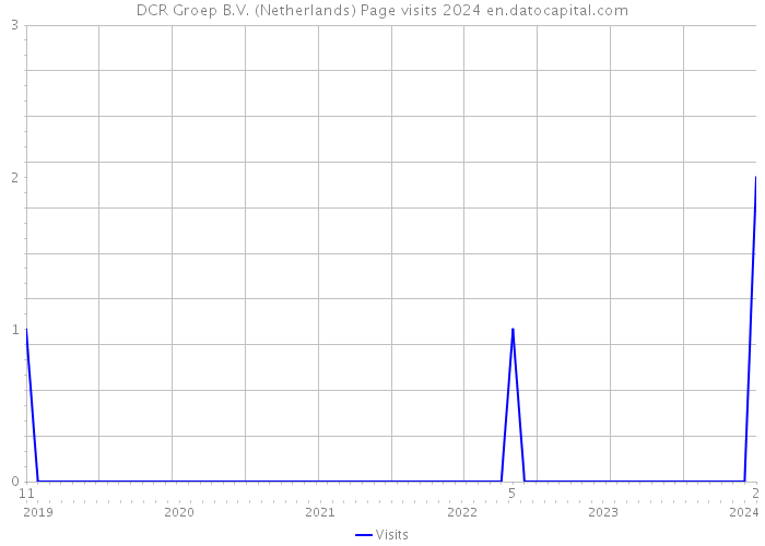 DCR Groep B.V. (Netherlands) Page visits 2024 