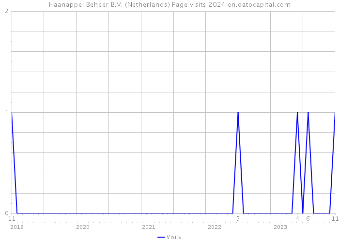 Haanappel Beheer B.V. (Netherlands) Page visits 2024 