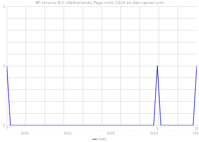 BP services B.V. (Netherlands) Page visits 2024 