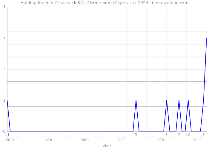 Holding Koenen Groesbeek B.V. (Netherlands) Page visits 2024 