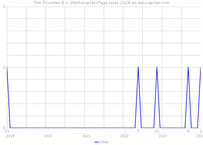 Tim Toorman B.V. (Netherlands) Page visits 2024 