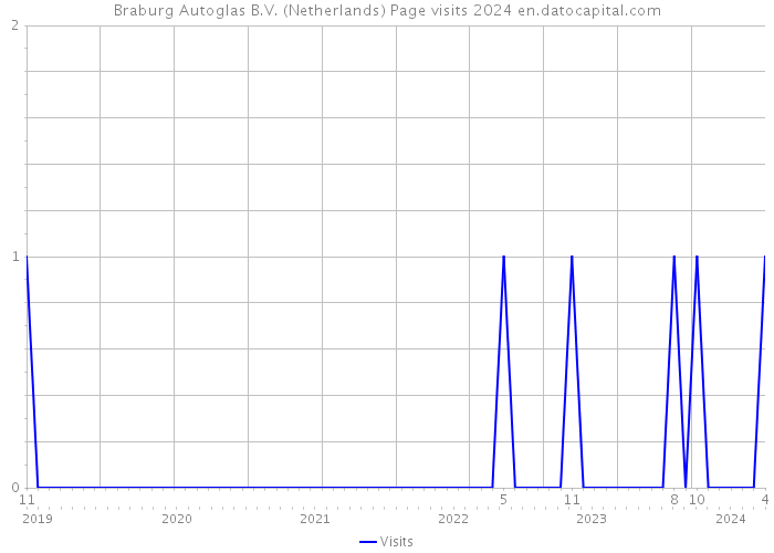 Braburg Autoglas B.V. (Netherlands) Page visits 2024 