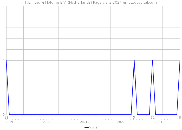 F.E. Future Holding B.V. (Netherlands) Page visits 2024 