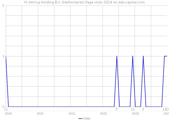 H. Hertog Holding B.V. (Netherlands) Page visits 2024 