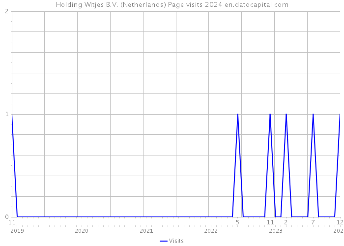 Holding Witjes B.V. (Netherlands) Page visits 2024 