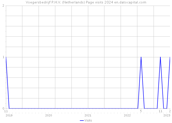 Voegersbedrijf P.H.V. (Netherlands) Page visits 2024 