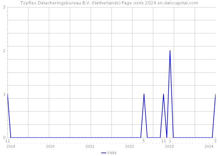 Topflex Detacheringsbureau B.V. (Netherlands) Page visits 2024 