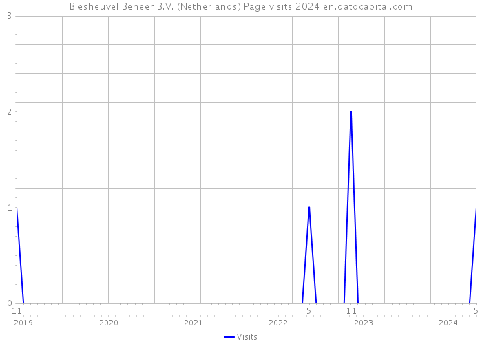 Biesheuvel Beheer B.V. (Netherlands) Page visits 2024 