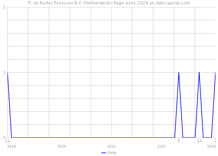 P. de Ruiter Pensioen B.V. (Netherlands) Page visits 2024 