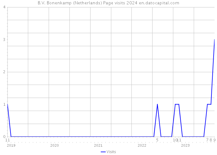 B.V. Bonenkamp (Netherlands) Page visits 2024 