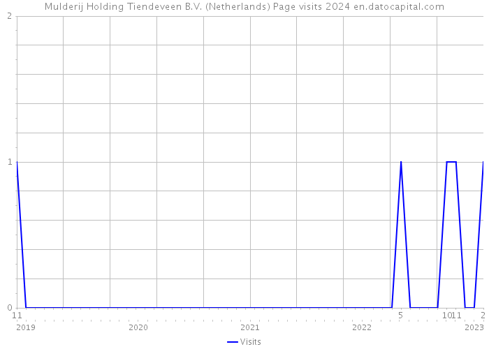 Mulderij Holding Tiendeveen B.V. (Netherlands) Page visits 2024 