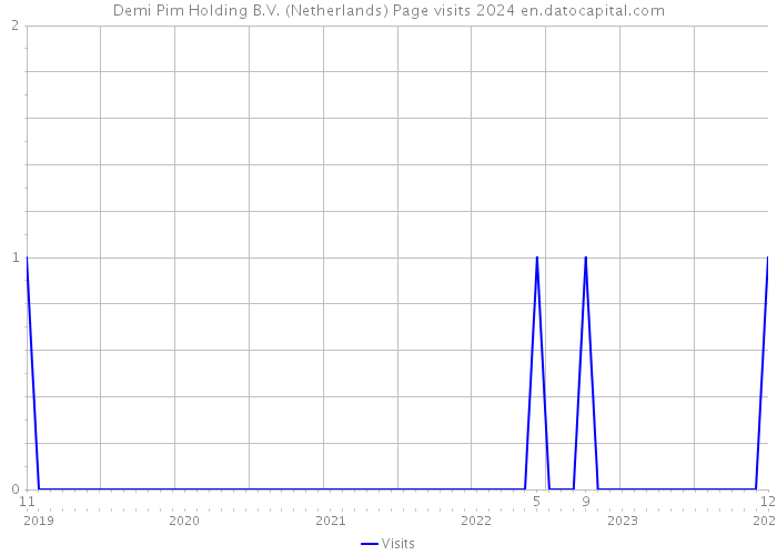 Demi Pim Holding B.V. (Netherlands) Page visits 2024 