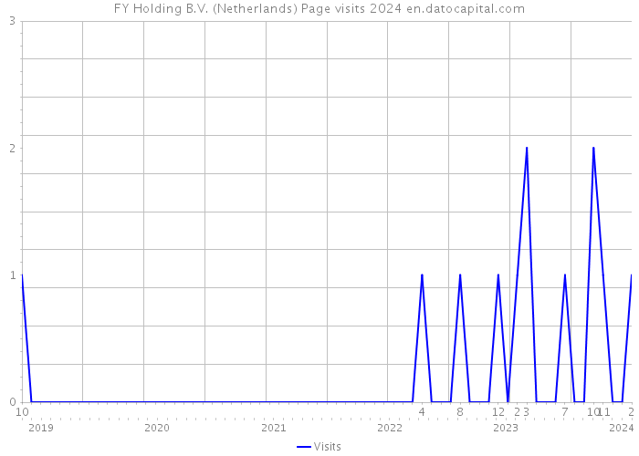FY Holding B.V. (Netherlands) Page visits 2024 