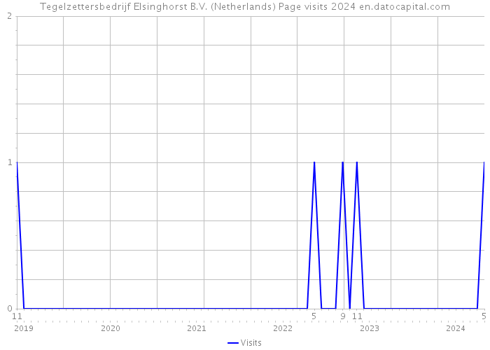 Tegelzettersbedrijf Elsinghorst B.V. (Netherlands) Page visits 2024 