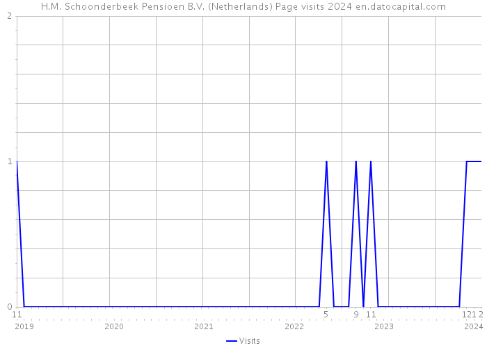 H.M. Schoonderbeek Pensioen B.V. (Netherlands) Page visits 2024 