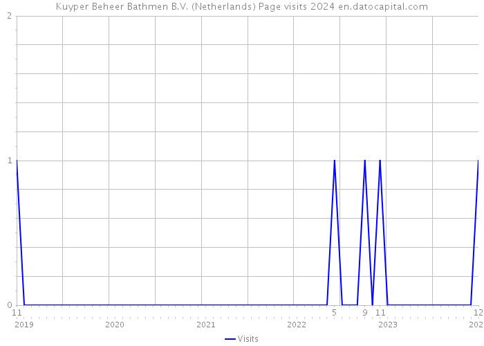 Kuyper Beheer Bathmen B.V. (Netherlands) Page visits 2024 