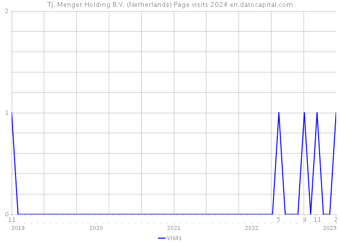 Tj. Menger Holding B.V. (Netherlands) Page visits 2024 