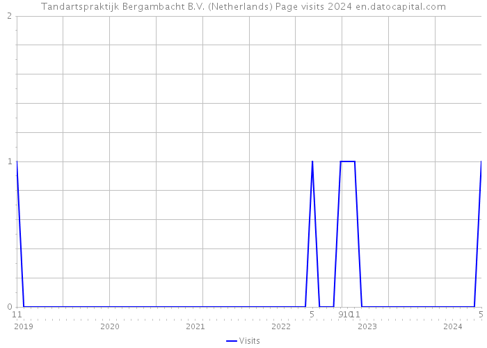 Tandartspraktijk Bergambacht B.V. (Netherlands) Page visits 2024 