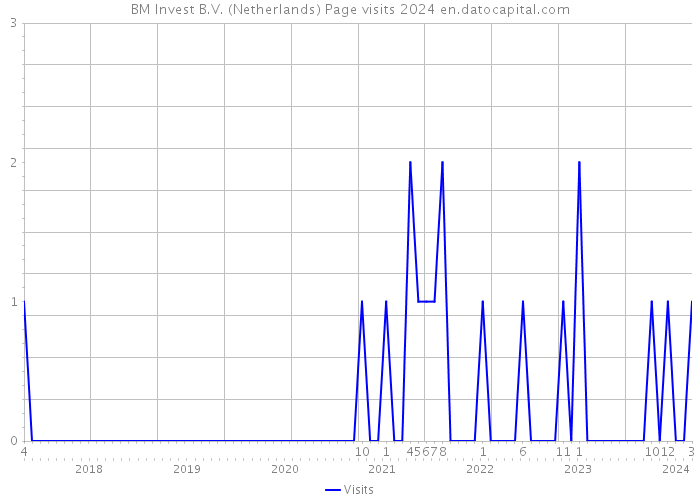 BM Invest B.V. (Netherlands) Page visits 2024 