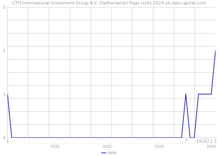 GTH International Investment Group B.V. (Netherlands) Page visits 2024 