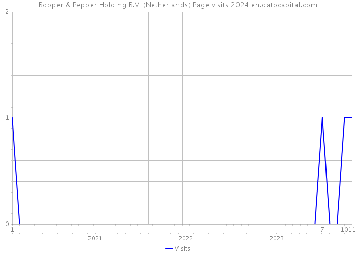 Bopper & Pepper Holding B.V. (Netherlands) Page visits 2024 