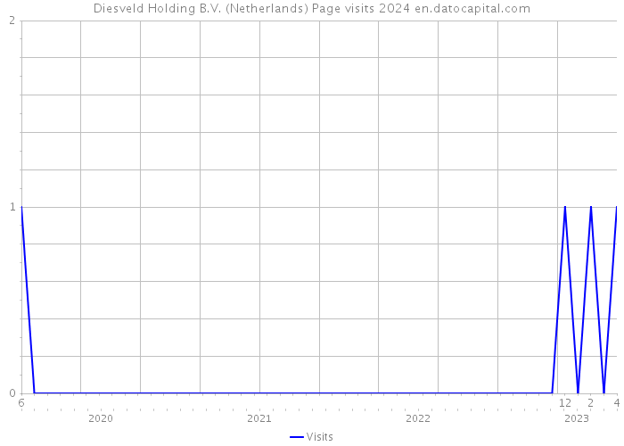 Diesveld Holding B.V. (Netherlands) Page visits 2024 