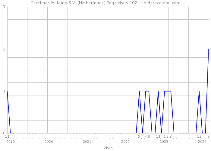 Geerlings Holding B.V. (Netherlands) Page visits 2024 