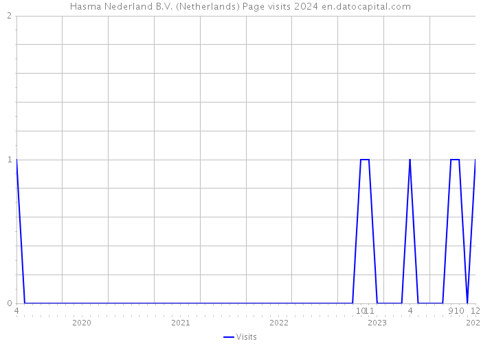 Hasma Nederland B.V. (Netherlands) Page visits 2024 