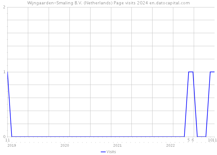 Wijngaarden-Smaling B.V. (Netherlands) Page visits 2024 