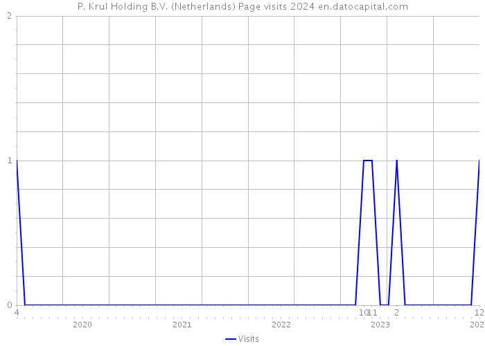 P. Krul Holding B.V. (Netherlands) Page visits 2024 