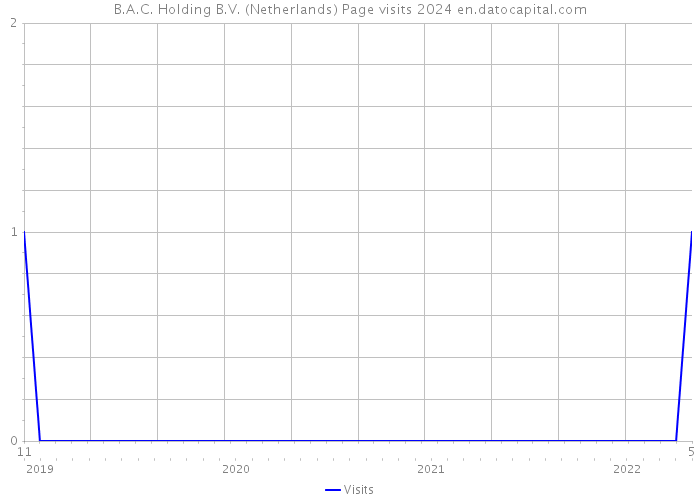 B.A.C. Holding B.V. (Netherlands) Page visits 2024 